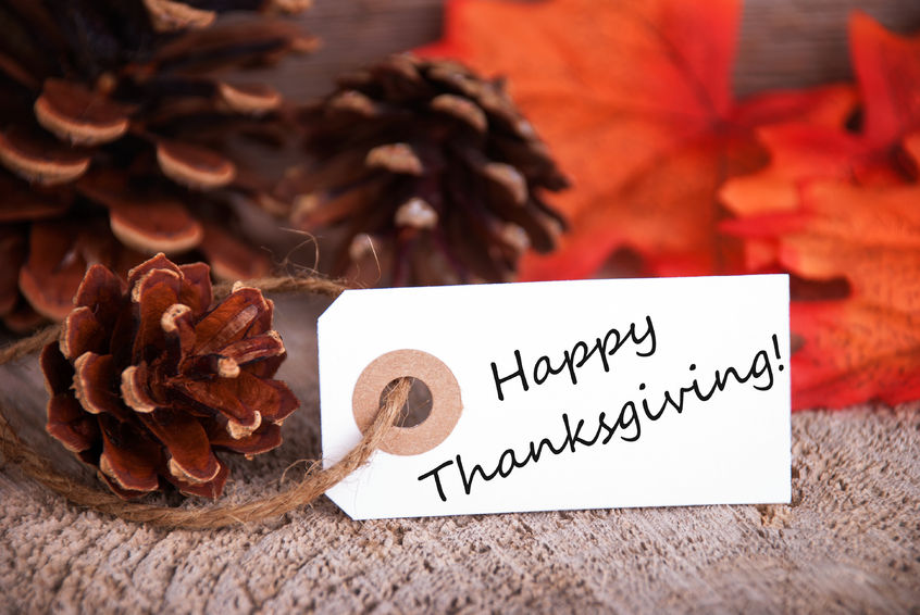 Happy thanksgiving tag with pinecones