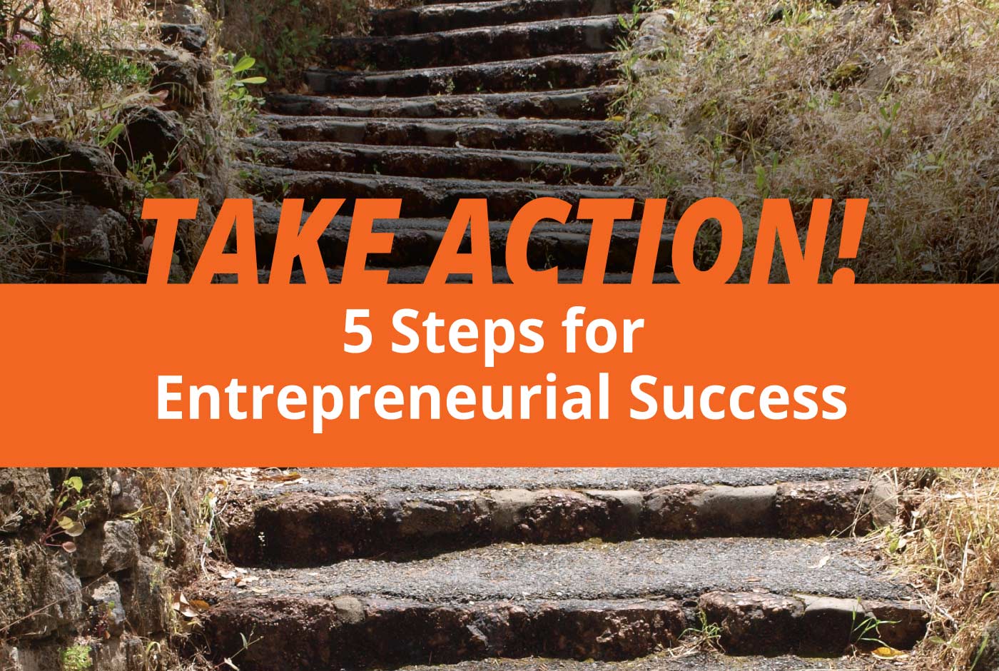 Jon Dwoskin Business Blog: Take Action: 5 Steps for Entrepreneurial Success