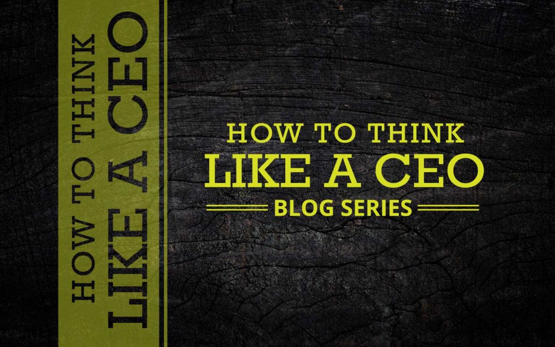 How to Think Like a CEO: Do You Need to Adjust Your Course?