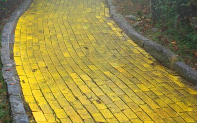 Courage in Business: Lessons from The Wizard of Oz