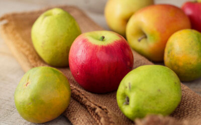 The Bad Apple Effect: How One Toxic Person Can Derail Your Business Growth (And How to Stop It)